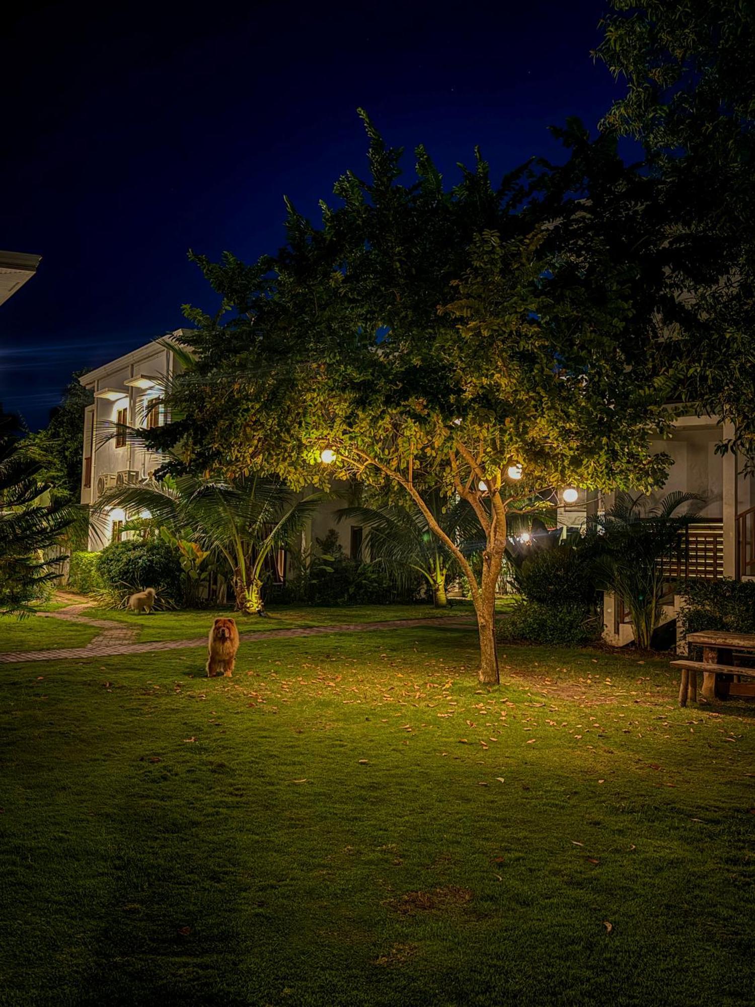 Red Picnic Hostel Панглао Екстер'єр фото